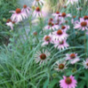 Meet your Posher, Cristiana giorgia